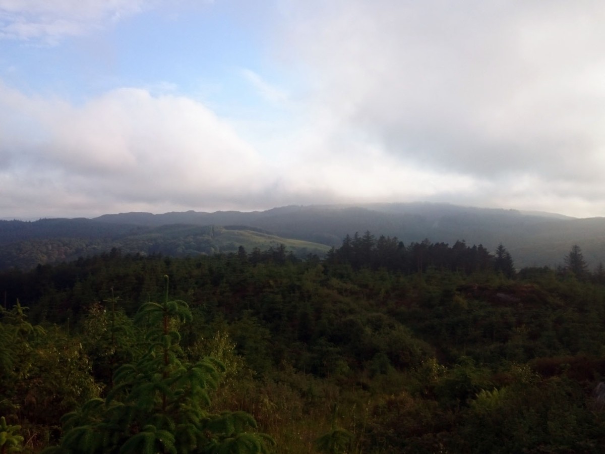 UKGE Grizedale 2015 – Through the eyes of a n00b
